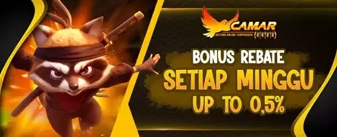 VIP Rebate Slot Game 🎰 promotion banner